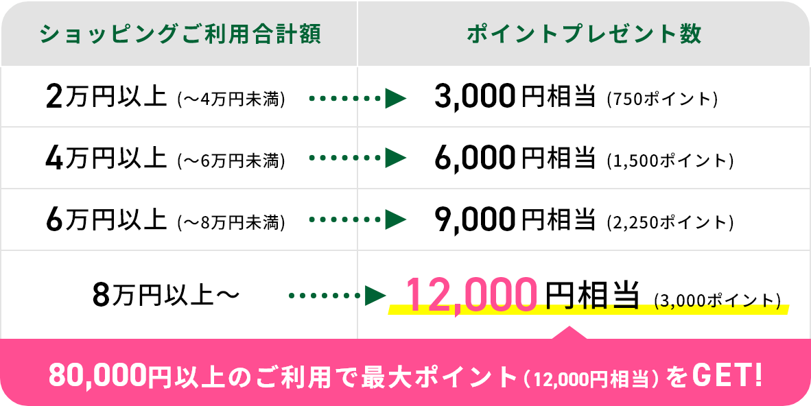 80,000円以上のご利用で最大ポイント（12,000円相当）をGET！